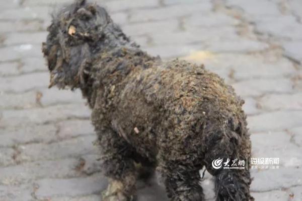 突發(fā)！青島一居民樓發(fā)生爆燃！已造1人死亡，7人受傷！3公里外有震感…